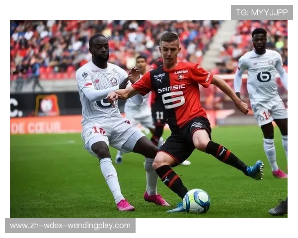 法甲球迷文化：深入了解法甲球迷的独特文化